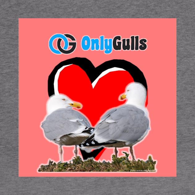 OnlyGulls by Aussie NFL Fantasy Show